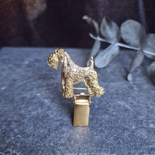 Cargar imagen en el visor de la galería, Kerry Blue Terrier Show clip