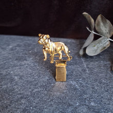 Cargar imagen en el visor de la galería, Staffordshire Terrier Show clip