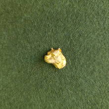 Cargar imagen en el visor de la galería, American Staffordshire Terrier pin